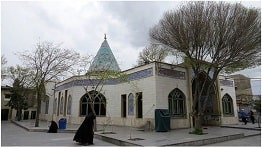 کهنسال ترین موجود زنده تهران